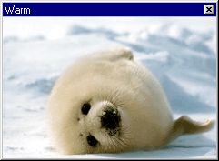 Cuando se ejecuta, el gusano muestra una imagen en una ventana con el t�tulo "Warm"